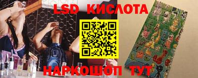 spice Гатчина