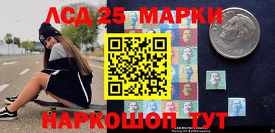 spice Гатчина