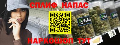 spice Гатчина