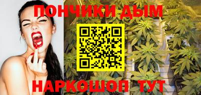 spice Гатчина
