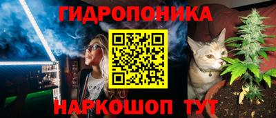 spice Гатчина