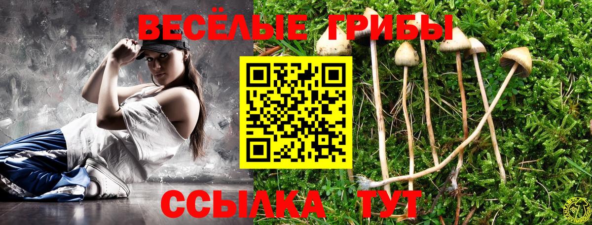 Россошь  Псилоцибиновые грибы мицелий  Вход с VPN 