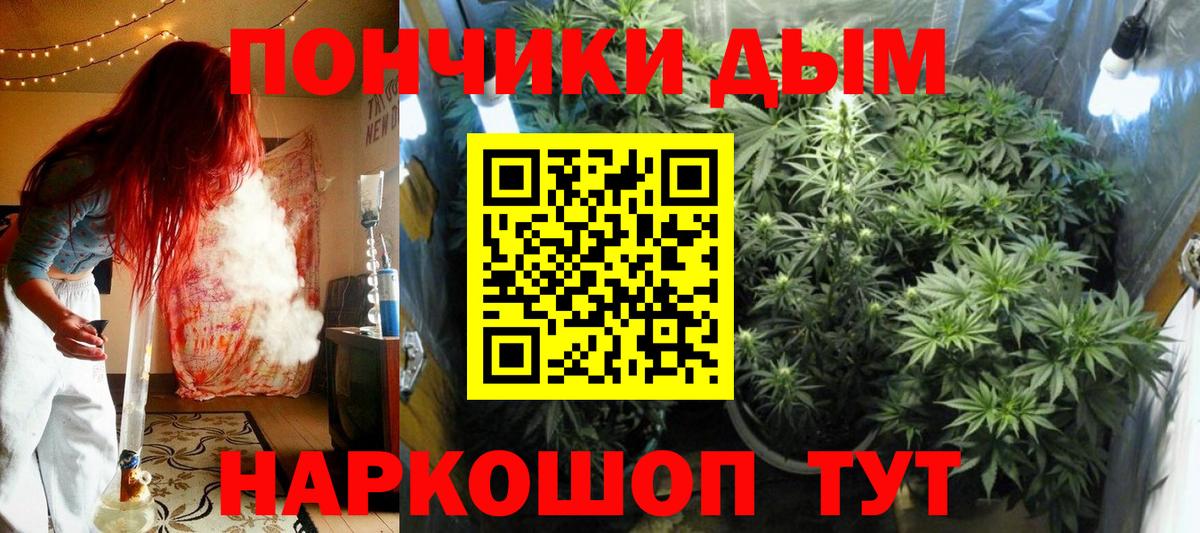 Бошки марихуана гибрид  Канабис ГИДРОПОН  Вход с VPN  Бошки Шишки Bruce Banner  Каннабис семена  Россошь 